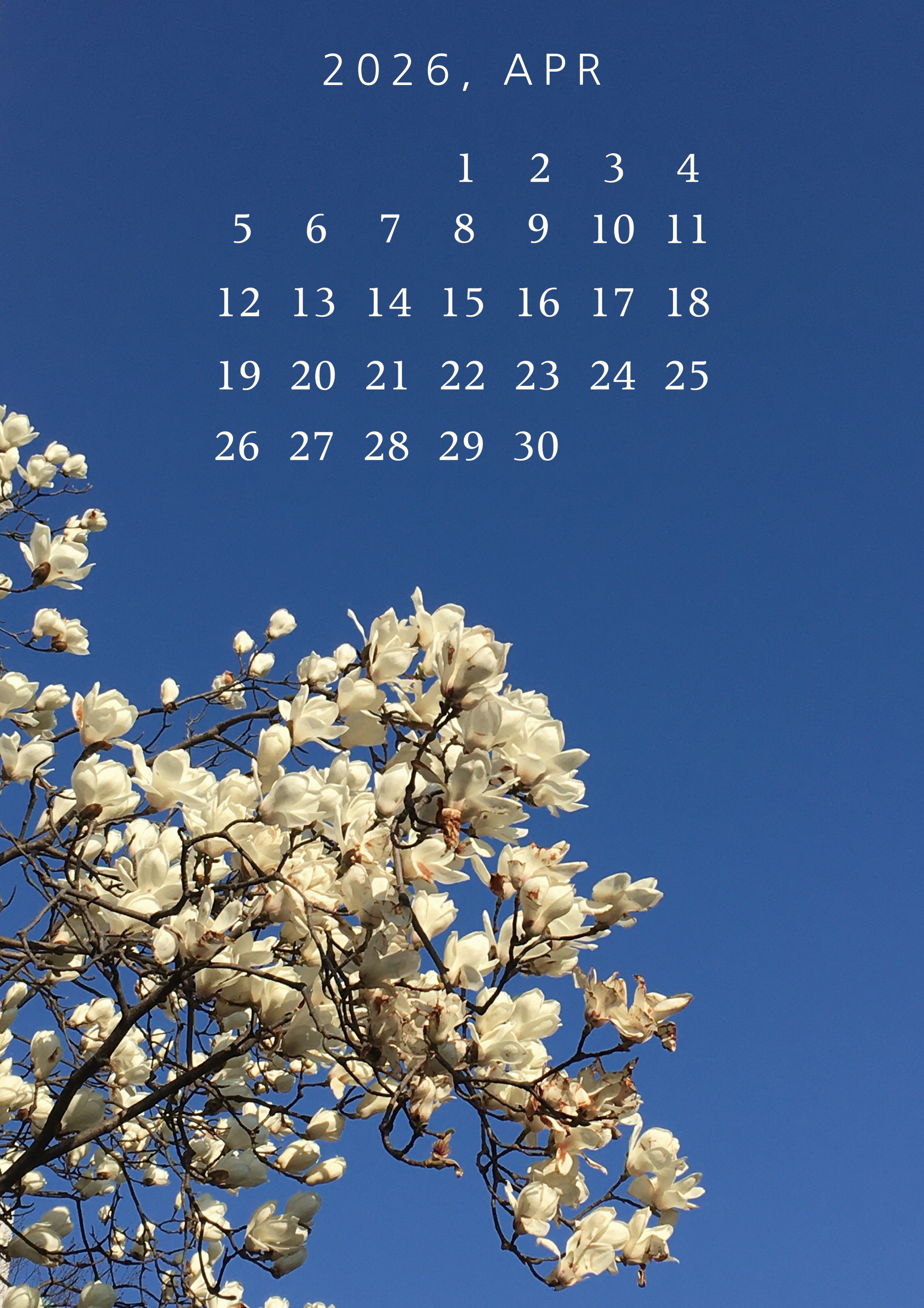 Calendar 2026.04